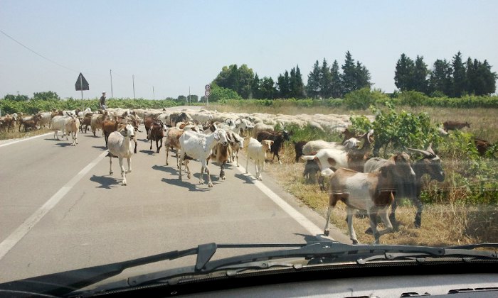 How to avoid the traffic on the Ionian Salento coastal road in summer